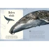 An Anthology of Intriguing Animals