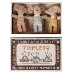 Baby Mice Triplets in a Matchbox
