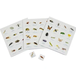 Bug Bingo Family Game
