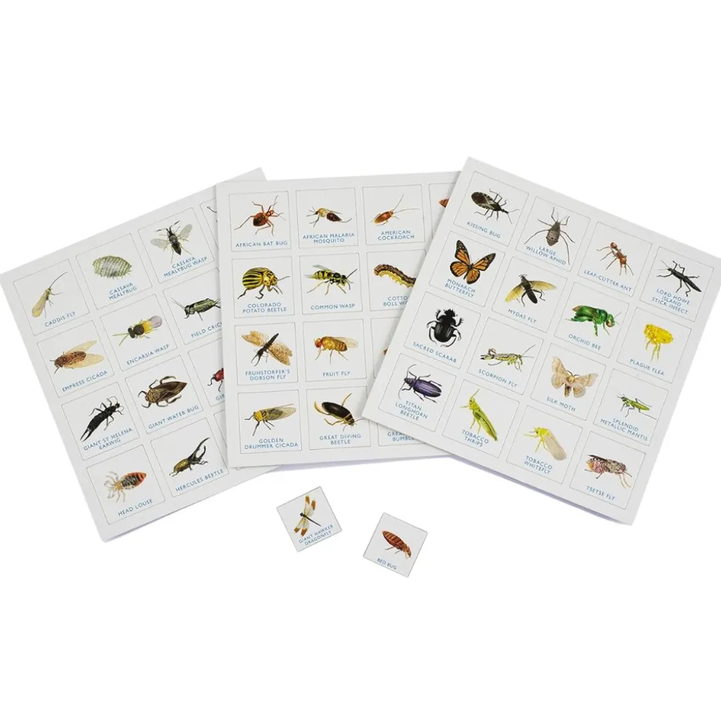 Bug Bingo Family Game