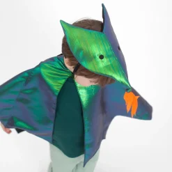 Dragon Costume