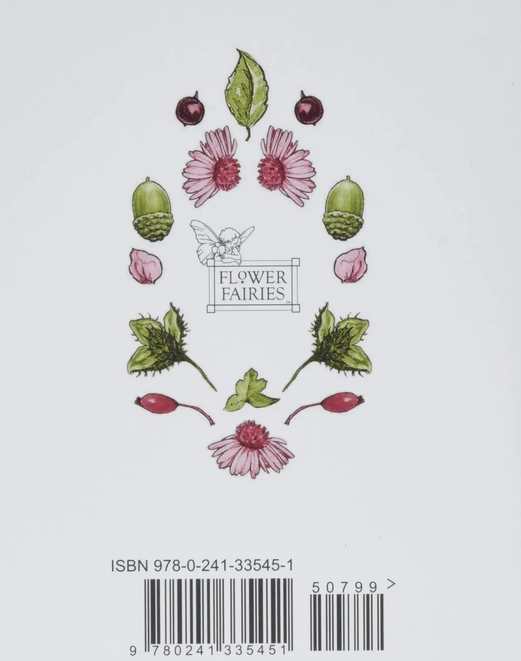 Flower Fairies of the Autumn by Cicely Mary Barker