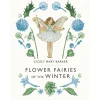 Flower Fairies of the Winter by Cicely Mary Barker