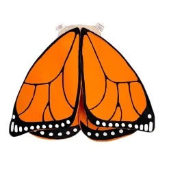 Monarch Butterfly Wings