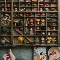Mushroom Grove Wooden Play Set
