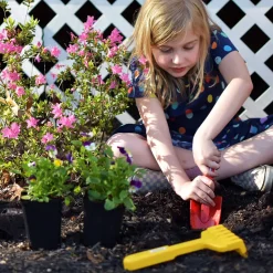 My First Gardening Tool Bundle