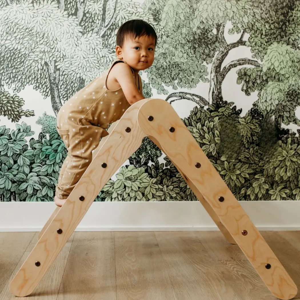 Natural Climbing Triangle