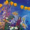Night Light Transparency Set - Little Fairy Can't Sleep