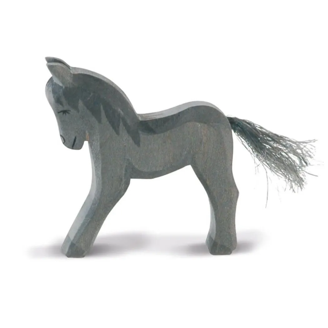 Ostheimer Charcoal Colt