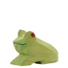 Ostheimer Frog
