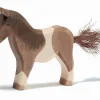 Ostheimer Pony, Brown & White