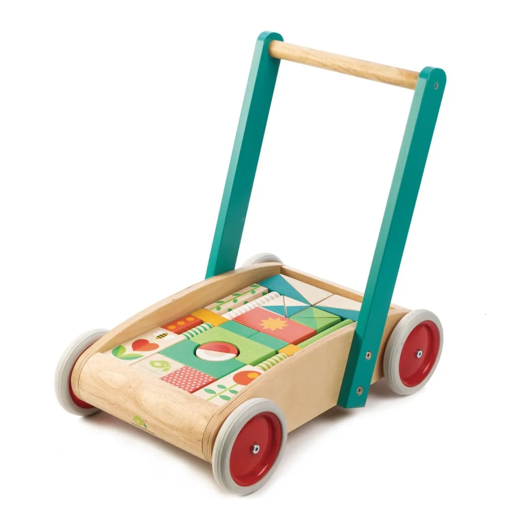 Wooden Baby Walker and Garden Blocks Set