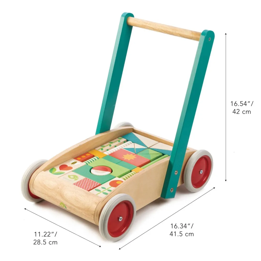 Wooden Baby Walker and Garden Blocks Set