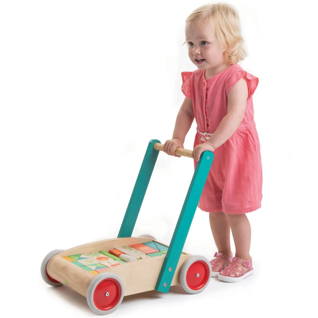 Wooden Baby Walker and Garden Blocks Set