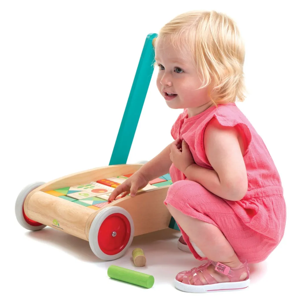 Wooden Baby Walker and Garden Blocks Set
