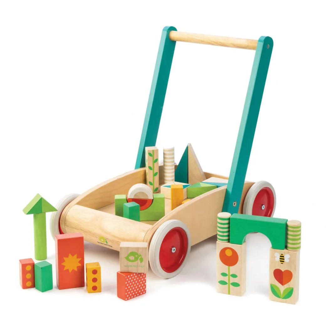 Wooden Baby Walker and Garden Blocks Set